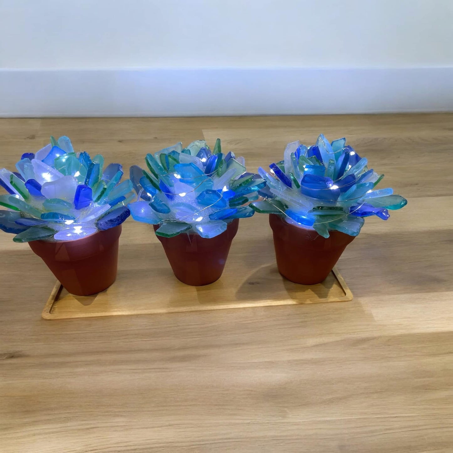 Tiffany's Book Club - Succulents