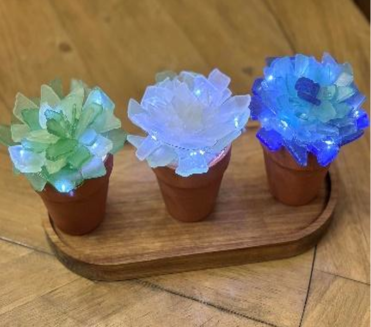 Everything Sea Glass Workshop