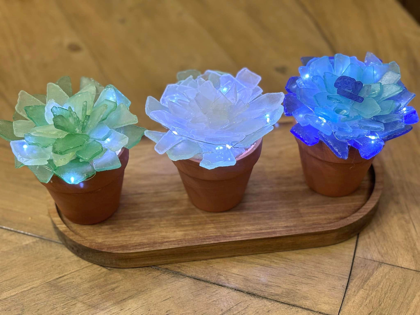Sea Glass Succulent Pots - Set of Three