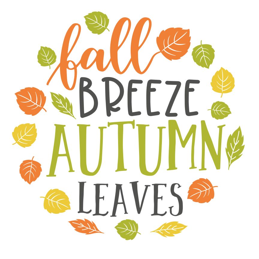 Fall Rounds