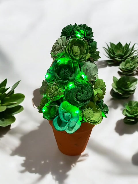 Sola Flower Succulent Potted Plant