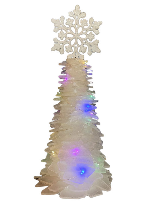 Andrea's Winter Workshop 12/7/25